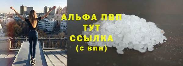 PSILOCYBIN Осташков