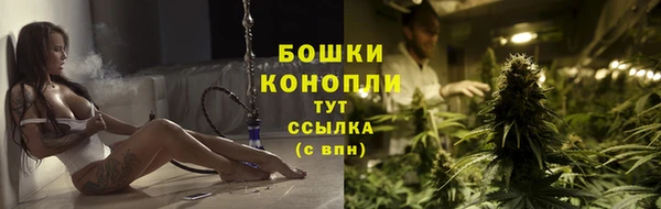 индика Ахтубинск