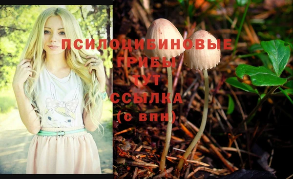 прущий лед Осинники