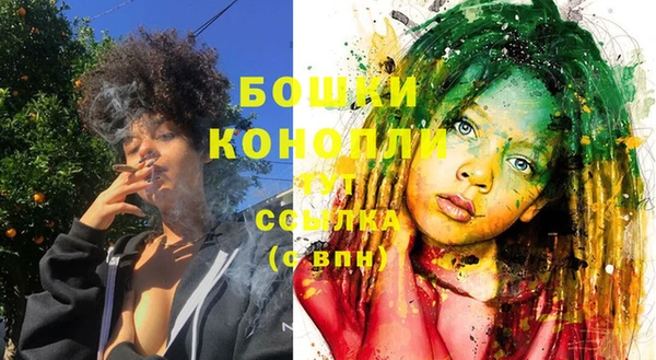 PSILOCYBIN Осташков