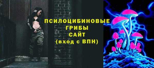PSILOCYBIN Осташков