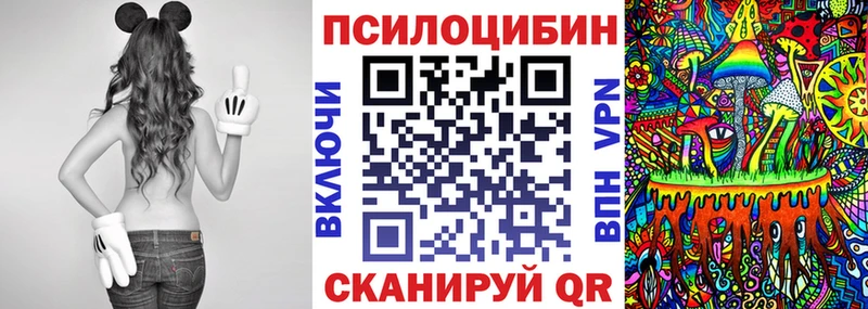 Псилоцибиновые грибы MAGIC MUSHROOMS  кракен онион  Нефтекамск 